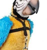 Un arnés para loros yacos Arnés para loros yacos